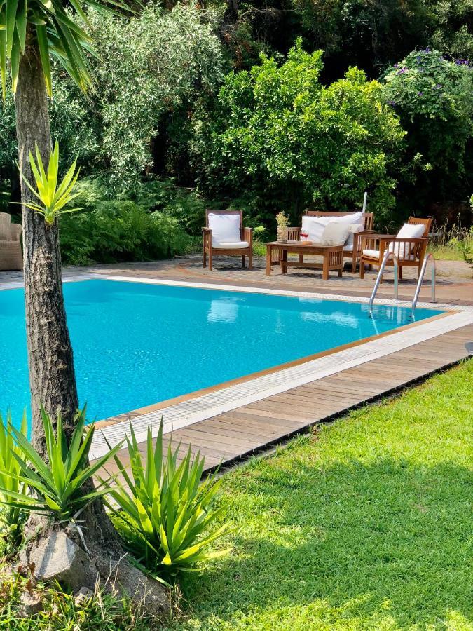 Gialos Villas 1-2 With A Private Pool Mikros Gialos Luaran gambar